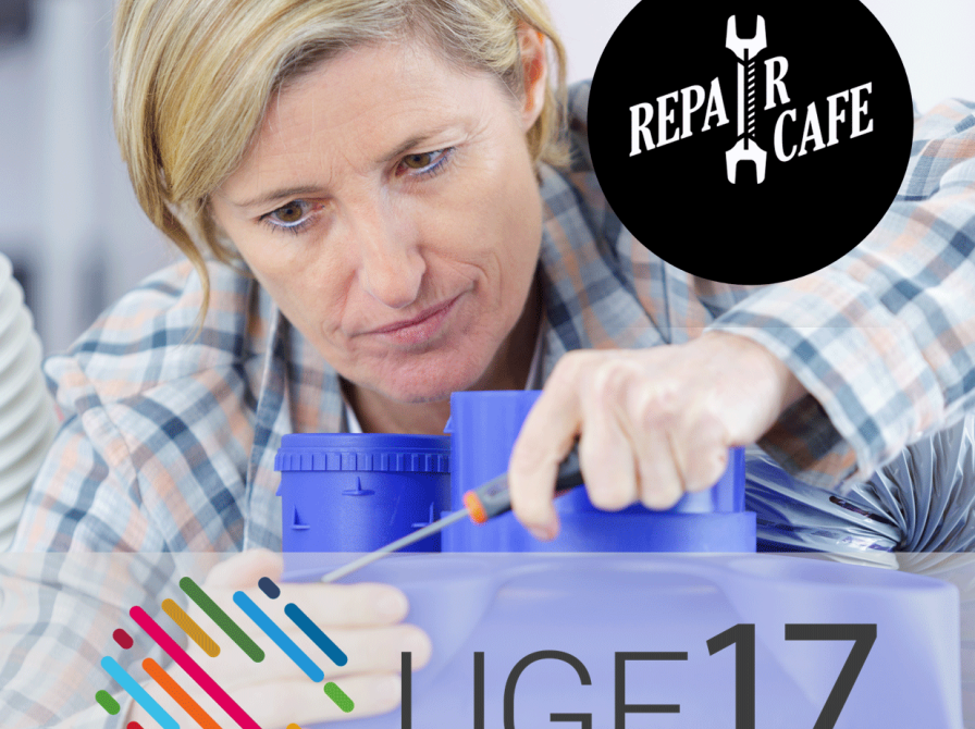 Uge 17 Borgernes verdensmåls uge. repari cafe. Kvind med skruetrækker